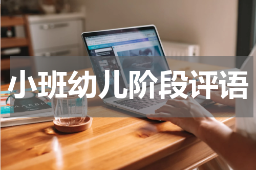 小班幼儿阶段评语