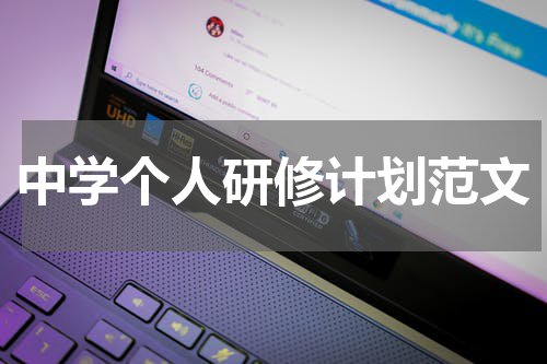 中学个人研修计划范文