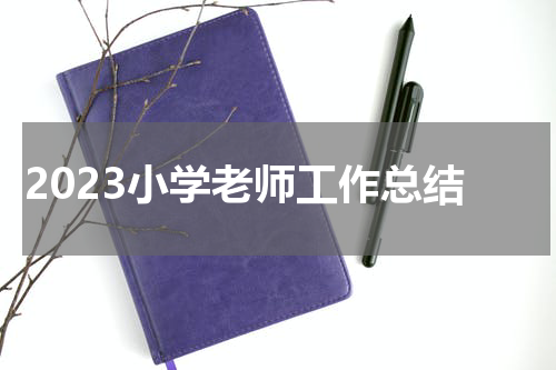 2023小学老师工作总结