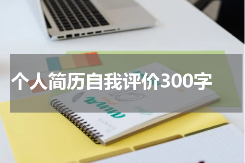 个人简历自我评价300字