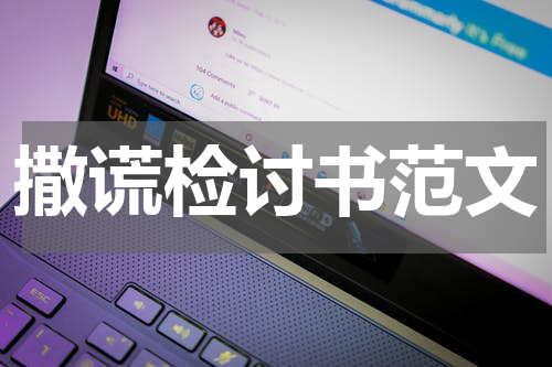 撒谎检讨书范文