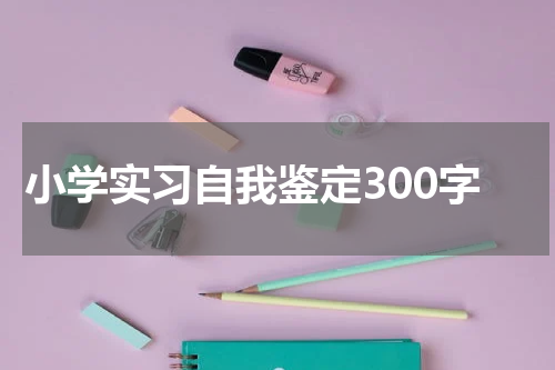 小学实习自我鉴定300字