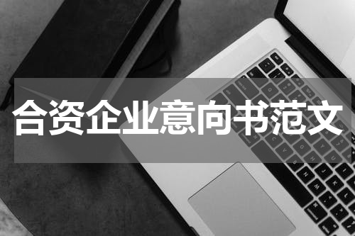 合资企业意向书范文