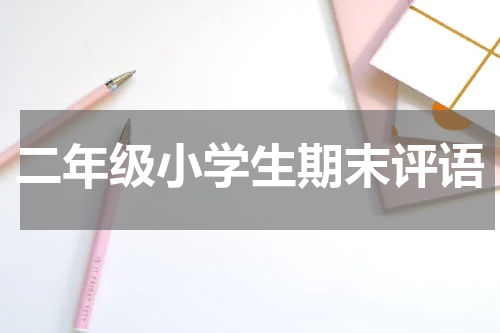 二年级小学生期末评语