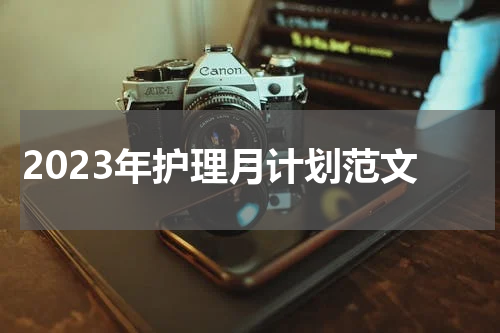 2023年护理月计划范文