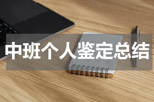 中班个人鉴定总结