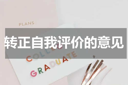 转正自我评价的意见