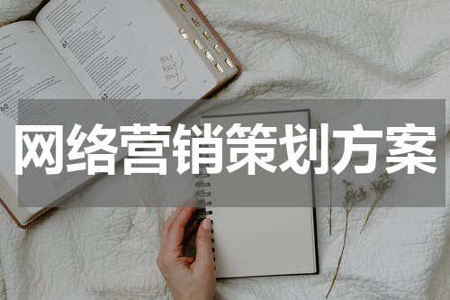 网络营销策划方案