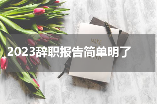 2023辞职报告简单明了