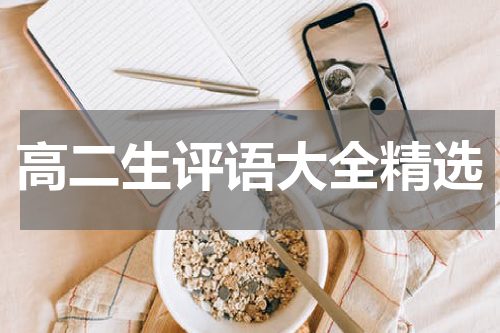高二生评语大全精选
