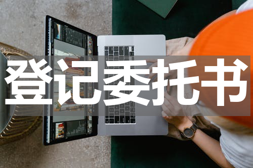 登记委托书