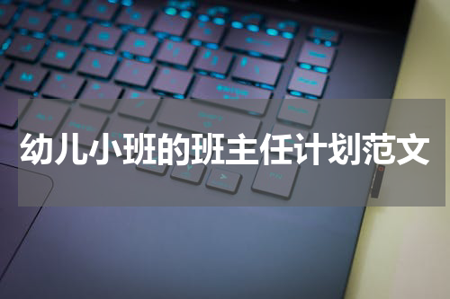 幼儿小班的班主任计划范文