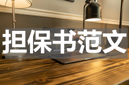 担保书范文