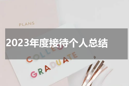 2023年度接待个人总结