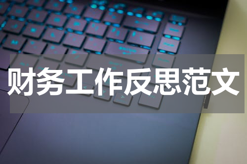 财务工作反思范文