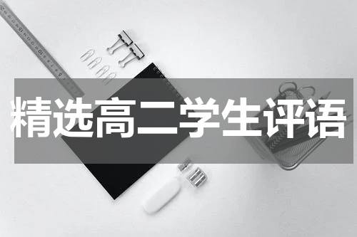 精选高二学生评语
