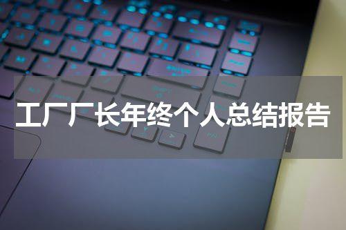 工厂厂长年终个人总结报告