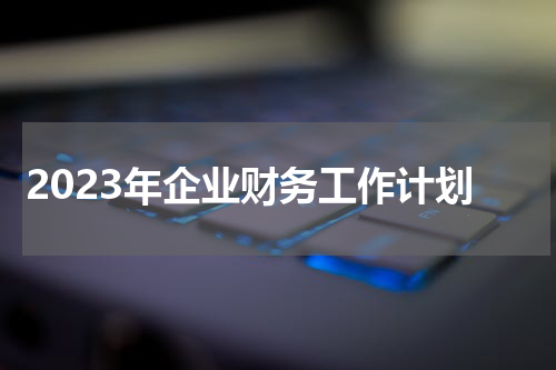 2023年企业财务工作计划