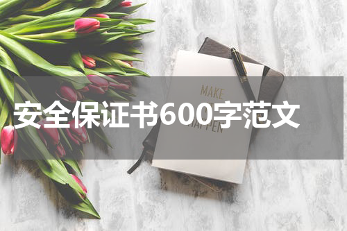 安全保证书600字范文