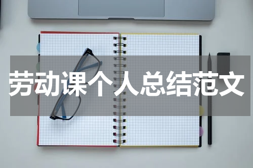 劳动课个人总结范文