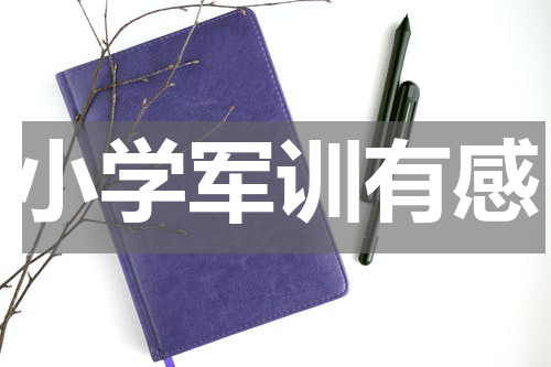 小学军训有感