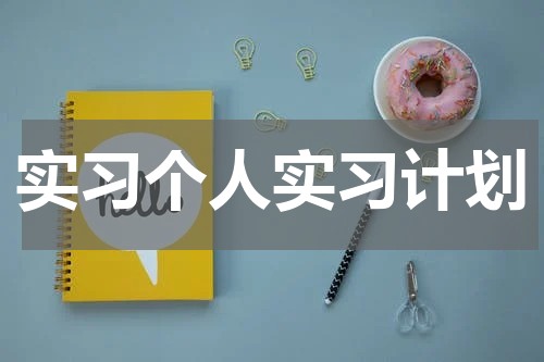 实习个人实习计划