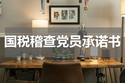 国税稽查党员承诺书