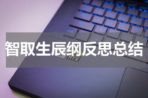 智取生辰纲反思总结