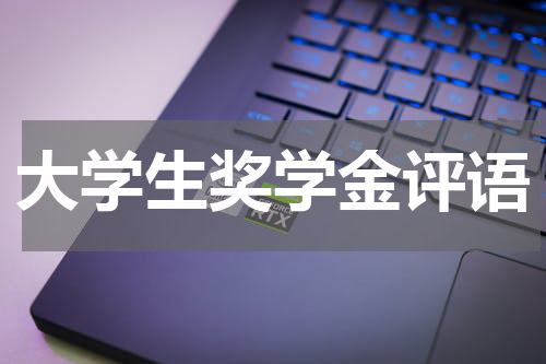 大学生奖学金评语