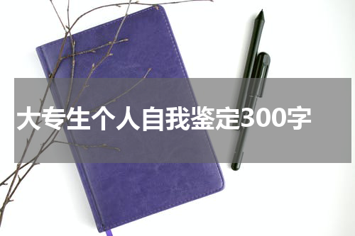 大专生个人自我鉴定300字