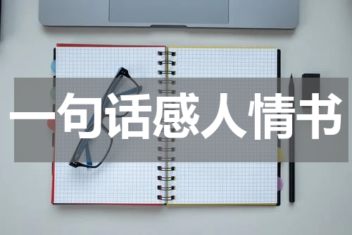 一句话感人情书