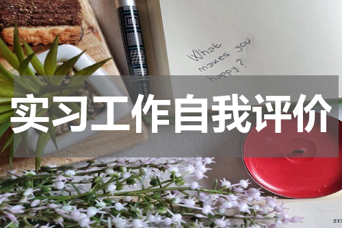 实习工作自我评价