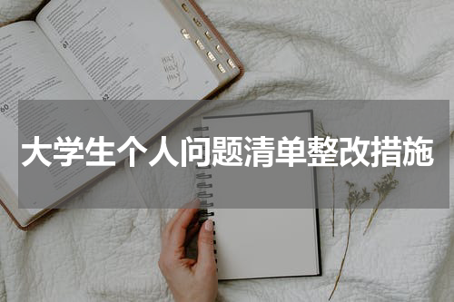 大学生个人问题清单整改措施