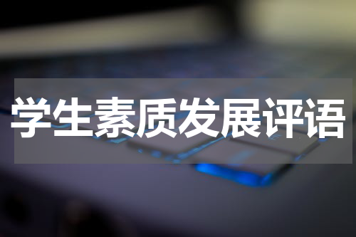 学生素质发展评语