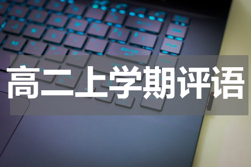 高二上学期评语