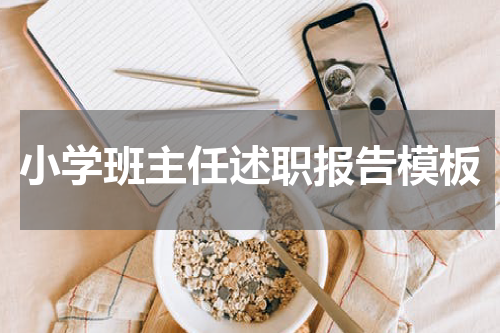 小学班主任述职报告模板