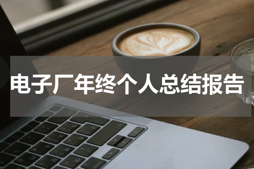电子厂年终个人总结报告