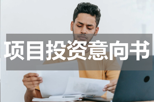 项目投资意向书
