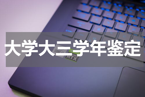 大学大三学年鉴定