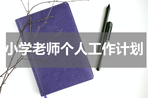 小学老师个人工作计划