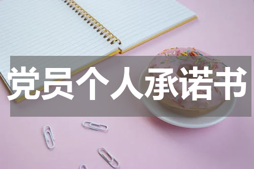 党员个人承诺书