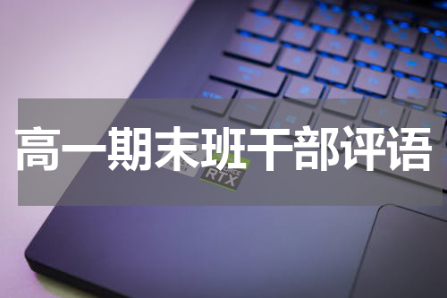 高一期末班干部评语