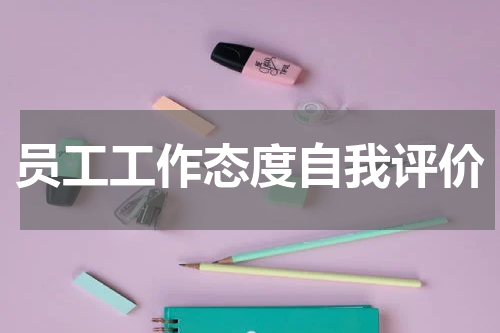 员工工作态度自我评价