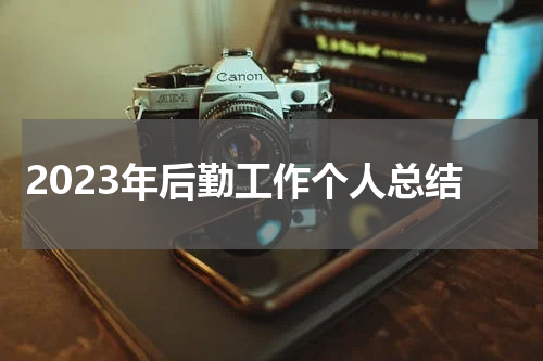 2023年后勤工作个人总结
