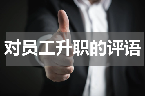 对员工升职的评语