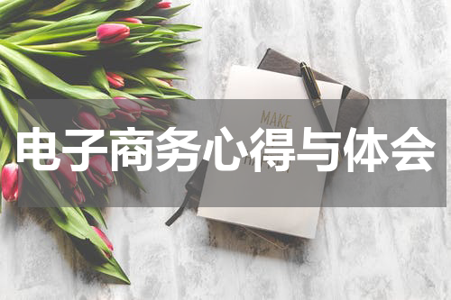 电子商务心得与体会