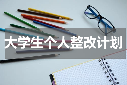 大学生个人整改计划