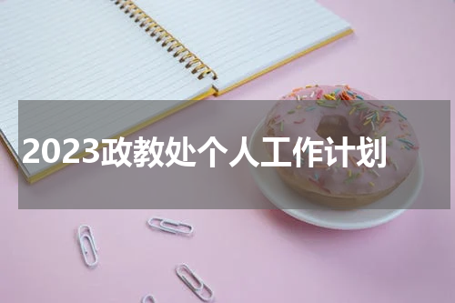 2023政教处个人工作计划