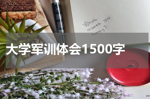 大学军训体会1500字