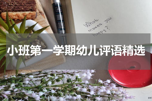 小班第一学期幼儿评语精选